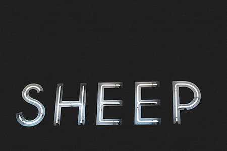 letters, font, sheep, light, dark, black and white, neon
