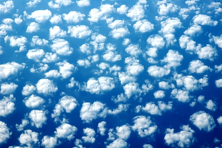 πρόβατα, ουρανός, φόντο, μπλε, σύννεφα, λευκό, μοτίβο