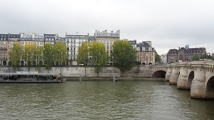 Paryż, Senna, Pont neuf, wody, Most, Francja, krajobraz