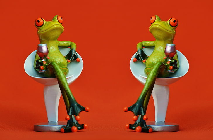 frogs, chair, together, cozy, drink, wine, soaked