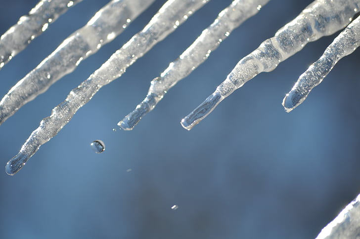 ice, frozen, cold, nature, snow, winter, close-up