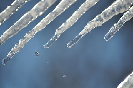 Ice, jäädytetty, kylmä, Luonto, lumi, talvi, Lähikuva