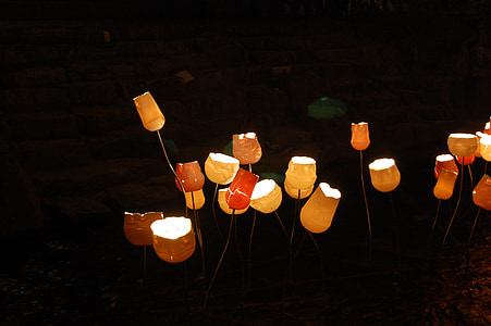 Cheonggyecheon stream, världen festival, lykta, lampan, festivalens