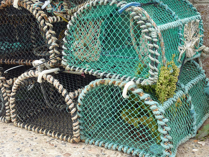 Αστακός καλάθια, Ψάρεμα, Fischer, στη θάλασσα, fischhandel