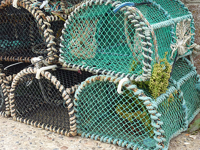 cestas de lagosta, pesca, Fischer, mar, fischhandel