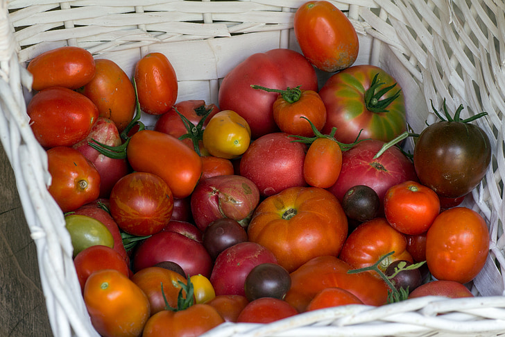 daržovės, pomidorai, krepšys, sodo pomidorų