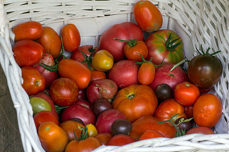 grönsaker, tomater, korg, trädgård tomat