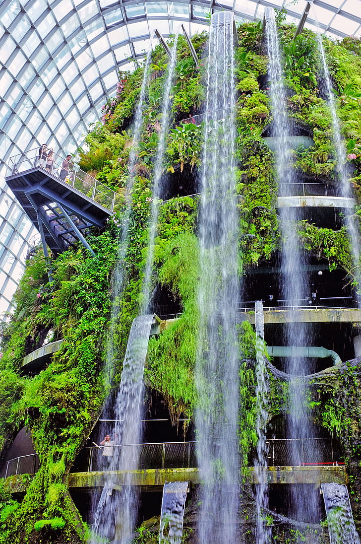 Letiště Changi, prostředí, vodopády, Flora, zahrada, krajina, rostliny