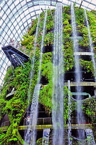 Changi oro uostas, aplinka, krioklys, floros, sodas, kraštovaizdžio, augalai