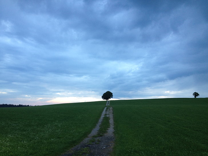 arbre, Dom, Sky, sombre, humeur, bleu, orageux