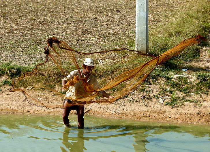 asia, fischer, fishing net, fish, people, cultures, fisherman