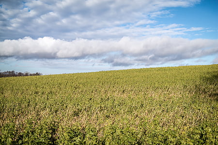 field, arable, clouds, sky, agriculture, landscape, slope