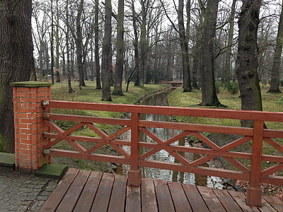 мост, парк, дървета, дървен материал, Вроцлав, природата, дърво