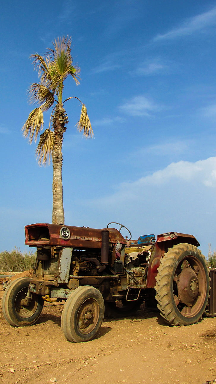 traktorius, senas, aprūdijęs, metų amžiaus, žemės ūkis, mašina, kaimo