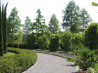 Enea vrt, gradu: Rapperswil, krajolik, stabla, Avenija, hoda, priroda
