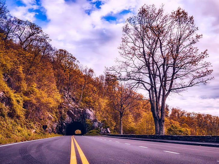 Shenandoah valley, Virginia, caduta, autunno, strada, Viaggi, cielo
