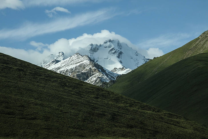 景观, 照片, 白雪皑皑, 山, 在后面, 两个, 绿色