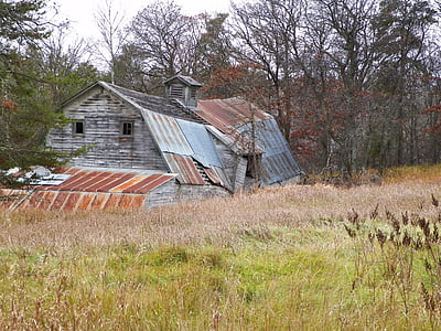 Grange, Rustic, l’automne, bois de grange, vieux, Vintage, bois