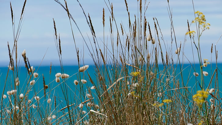 mare, scena, scenico, oceano, acqua, estate, cielo