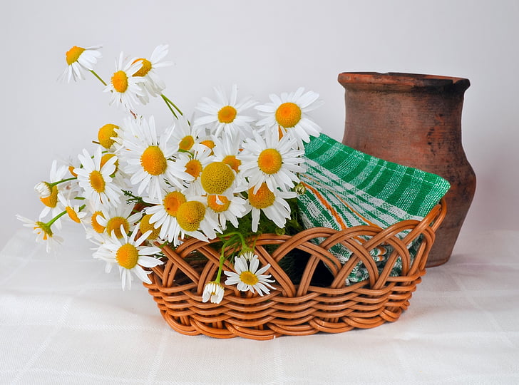 daisies, basket weaving, pot, jug, clay, old, still life