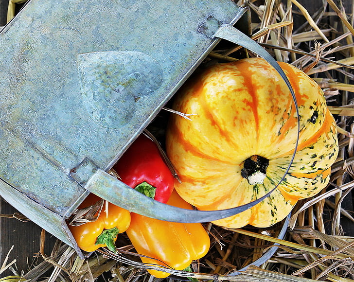 Thanksgiving, pumpa, paprika, hösten, hösten dekoration, dekoration, färgglada