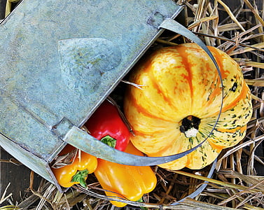 giorno del ringraziamento, zucca, paprica, autunno, decorazione di autunno, decorazione, colorato