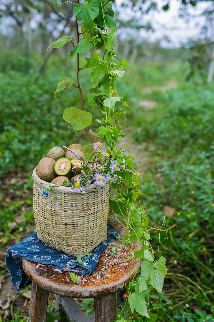 kiwi, sichuan, ya'an, basket, nature, food, fruit