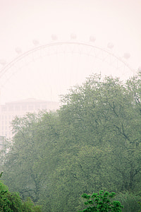 Londres, ojo de Londres, rueda de la fortuna, Inglaterra, Reino Unido, lugares de interés, punto de referencia