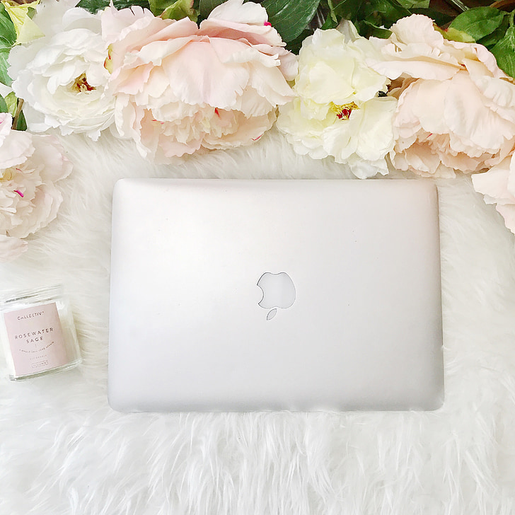 MacBook, laptop, pioenrozen, overhead, Business, bloem