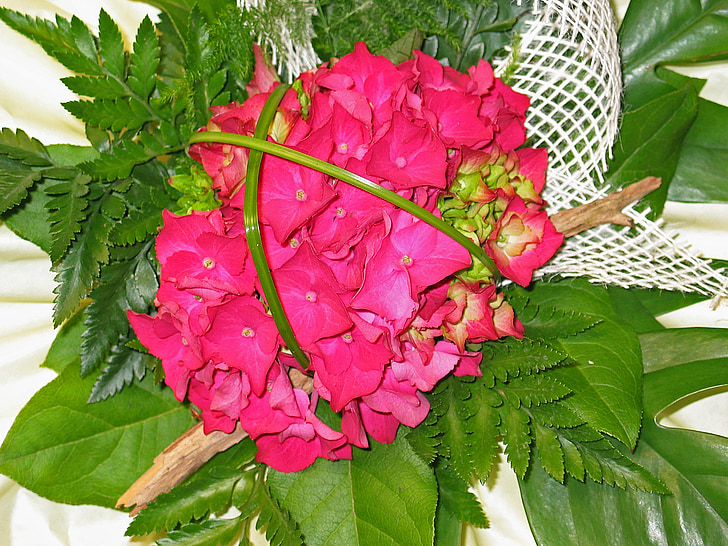 bouquet, anniversaire, hortensia, schnittblume, Rose, vert, plante