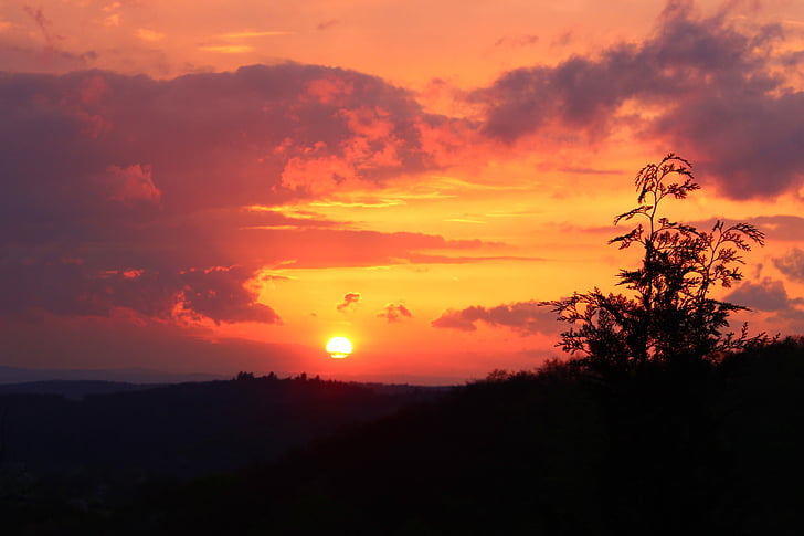 nature, sunset, hesse, dusk, orange Color, tree, sun