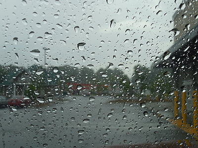 tiempo en, lluvia, naturaleza, húmedo, agua, paraguas, tormenta