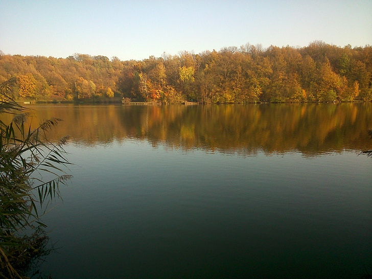 озеро, deseda, воды, Природа, Осень, reflextion воды, Река