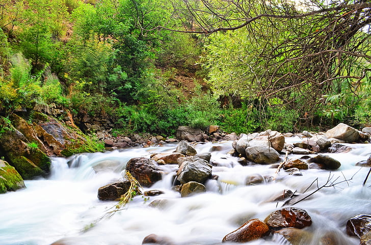 แม่น้ำ, ภูมิทัศน์, ตุรกี, ธรรมชาติ, สีเขียว, เปิดโล่ง, natur