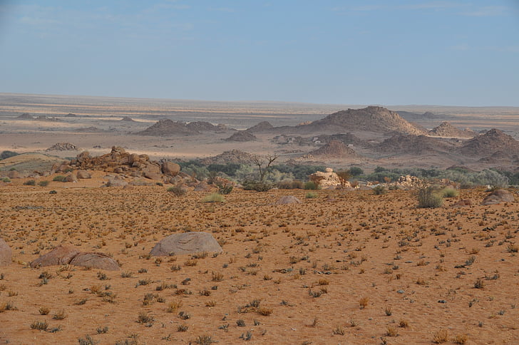 Namibia, desierto, viajes, paisaje, naturaleza, día, animales en la naturaleza