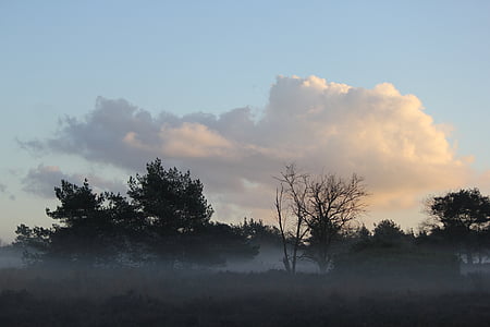bosc, núvols, Veluwe, paisatge
