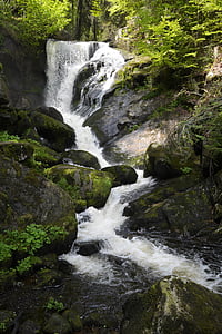triberg, waterfall, nature, black forest, water