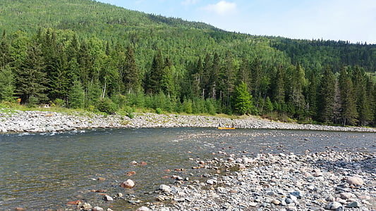Fluss, Natur, Kanu fahren, Canadian river