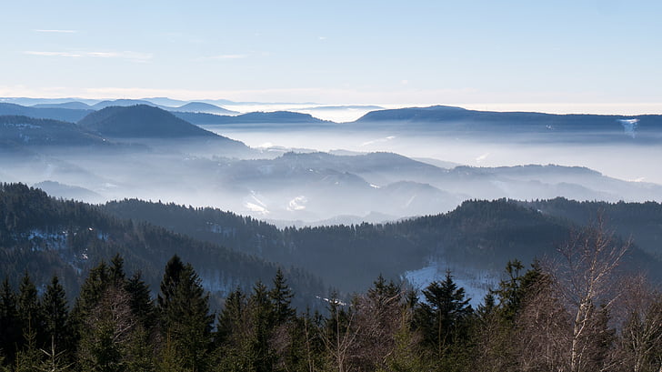 zee van mist, nebellandschaft, Zwarte Woud, mist, Vosges, gebergte, natuur