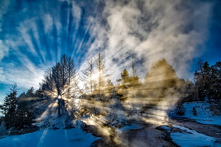 yellowstone, national park, winter, forest, trees, woods, sun rays