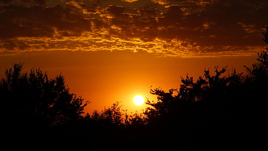 silueta, západ slnka, Príroda, slnko, Woods, oranžová obloha, strom