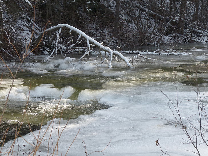 creek, drifting ice, ice covered, water, ice, cold, winter