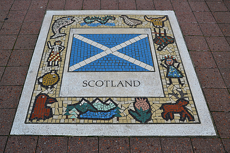 Škotija, komandos emblema, Regbis, emblema, Didžioji, komanda, Karalystė
