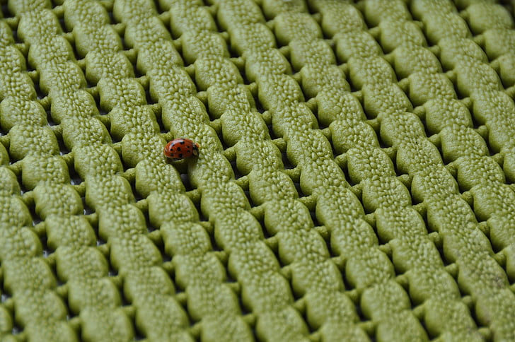 Ladybug, verde, pad, closeup, insectă, Red