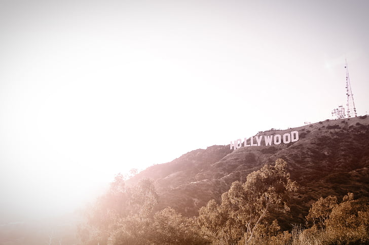 hill, hollywood, sign, sunny, trees