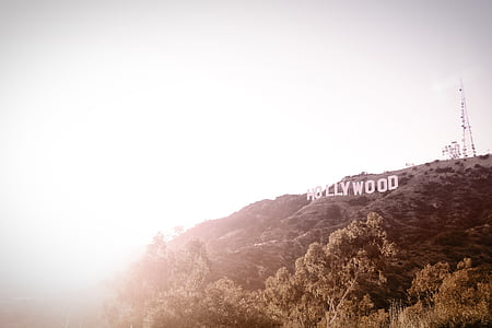 Hill, Hollywood, tegn, solfylte, trær