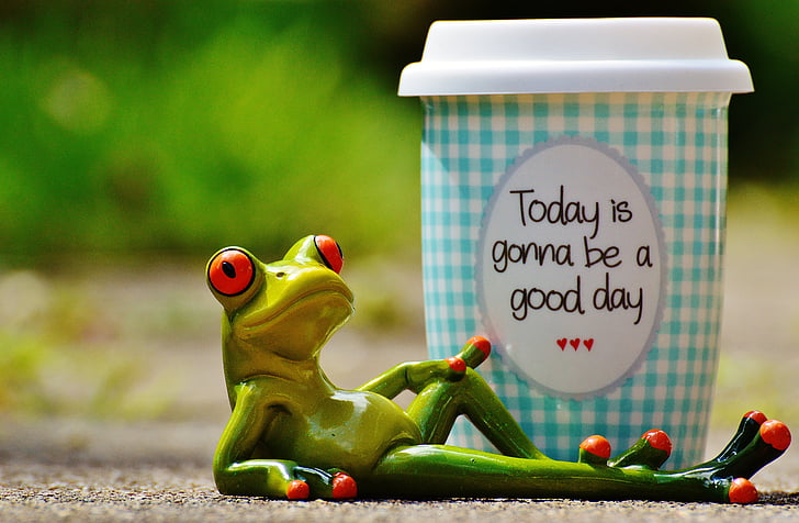 vakker dag, glede, frosk, kaffe, Cup, glad, lykke