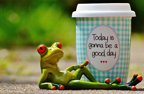 graži diena, džiaugsmas, varlė, kavos, puodelis, laimingas, laimės