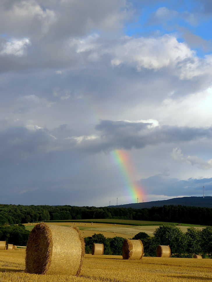 rainbow, color, field, harvest, agriculture, straw bales, round bales