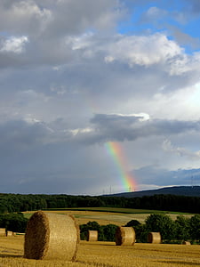 Regenbogen, Farbe, Feld, Ernte, Landwirtschaft, Strohballen, Rundballen